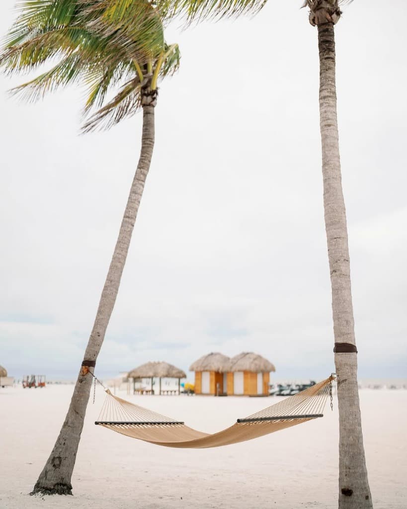Beach hammock between palm trees