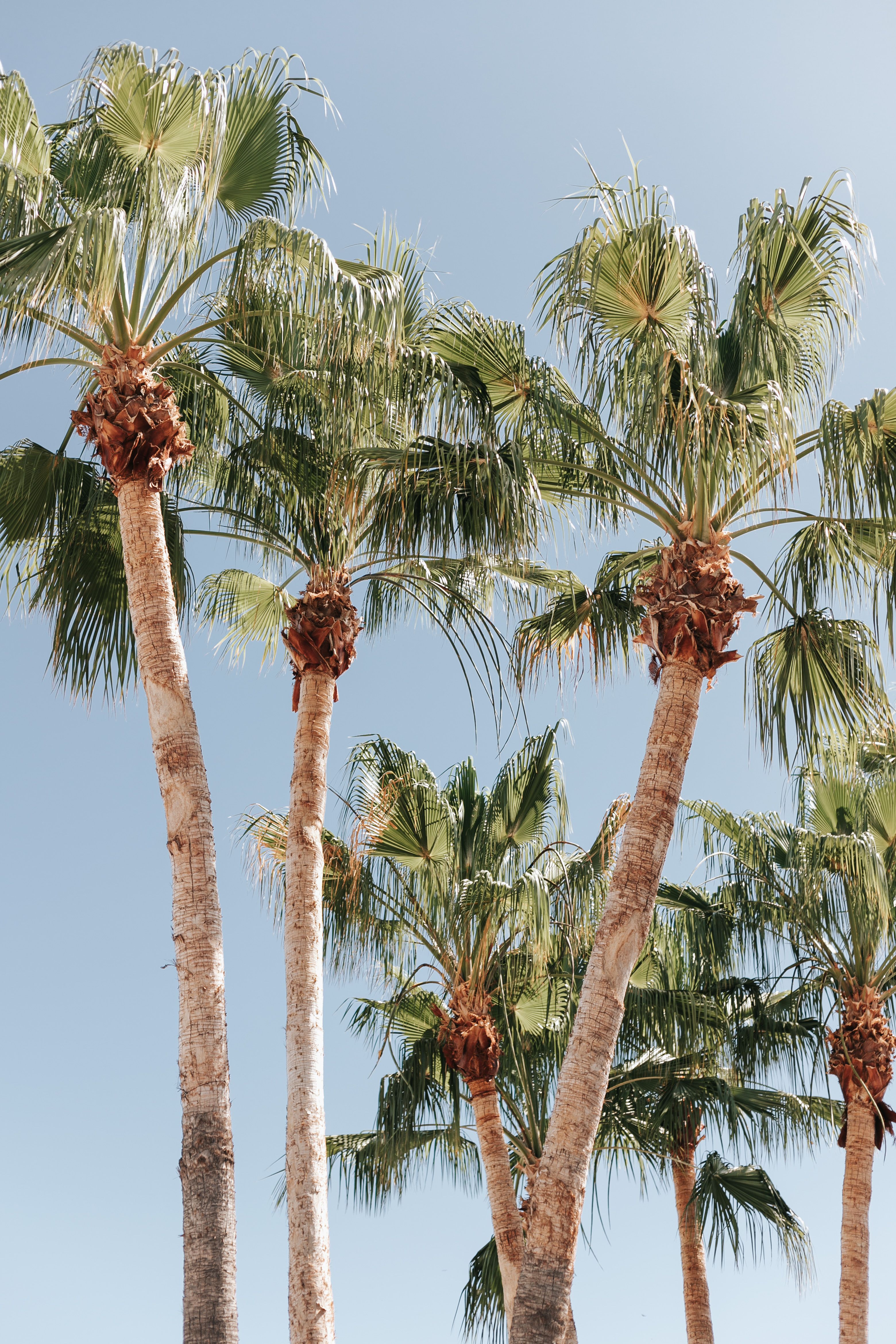 Luxury Vacation Rental — Key Largo, FL - Frame 2