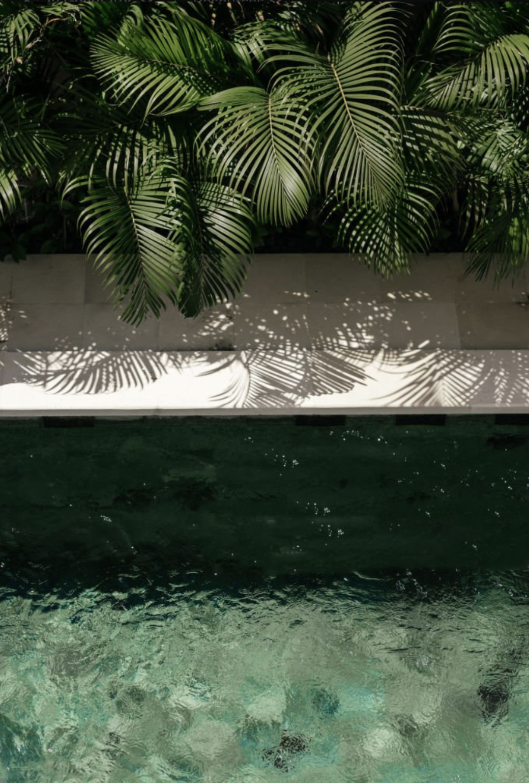 Luxury Vacation Rental — Los Cabos, Mexico - Frame 7